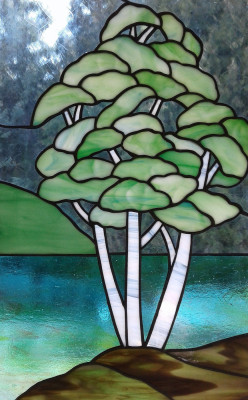 Birch Trees 3