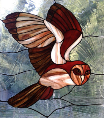 Brown Barn Owl