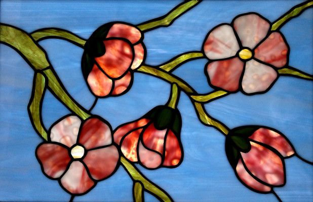 Cherry Blossoms