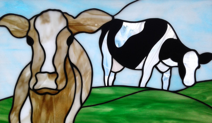 Cows
