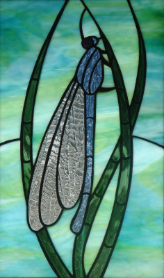 Damsel Fly