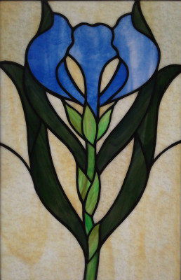 Iris