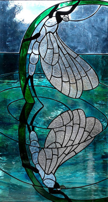 Mayfly Reflection