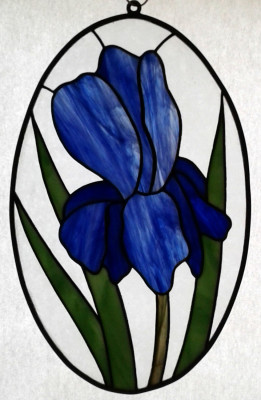 Oval Iris
