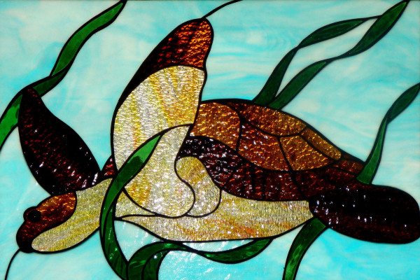 Sea Turtle 2