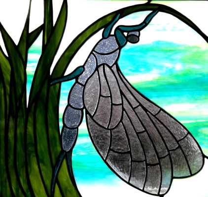 Single Mayfly