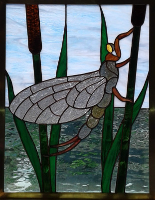 Mayfly #3 - 2022