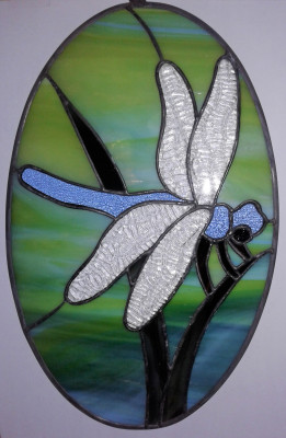 Oval Dragonfly - 2021