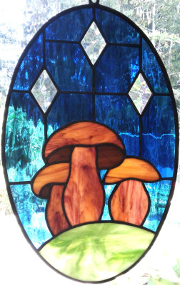 Boletes #2