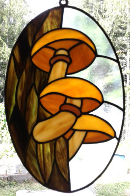Gymnopolis