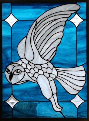 Snowy Owl