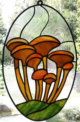 Xeromphalina - 2024