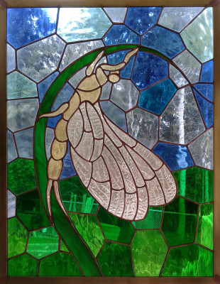 Mayfly mosaic #1 - 2024