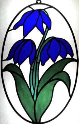 Scilla - 2023