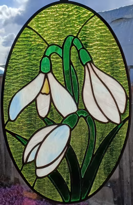 Snowdrops 2025-2