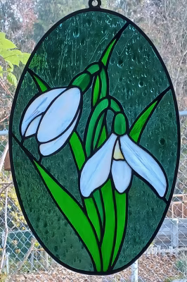 Snowdrops 2025-3