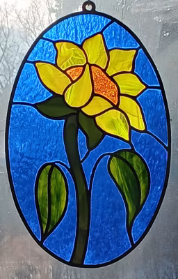 Sunflower 2025