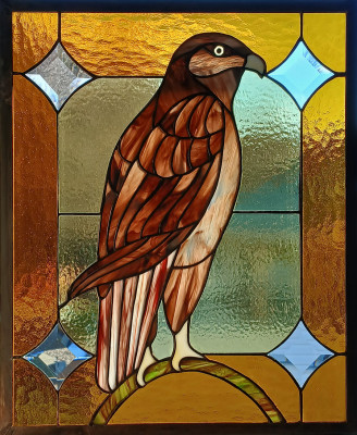 Red tailed hawk - 2024