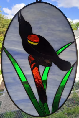 Red winged blackbird and rush-2-2025