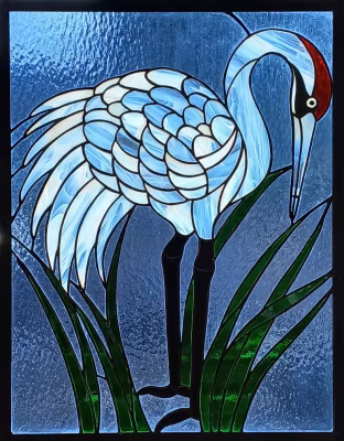 Whooping crane-2025